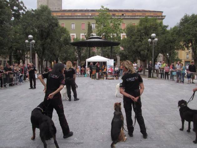 I cani del cap Tajetti a Cremona giardini Piazza Roma il 30 pv