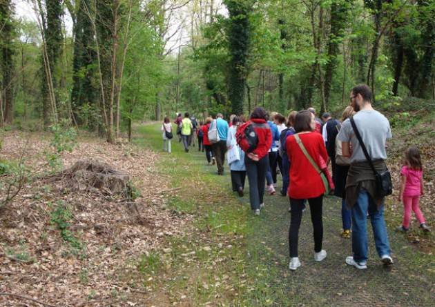 Piloni (Pd):’Tutela aree naturalistiche: la Regione ha perso un’occasione’.