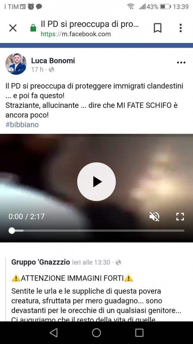 Il sindaco leghista di Grontardo pubblica un video fake sui bimbi di Bibbiano ed attacca il PD | G.C.Storti