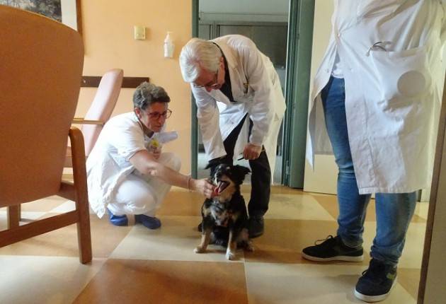 Hospice - ASST Cremona LA PET THERAPY AI GIOVEDI’ D’ESTATE