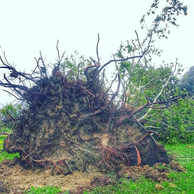 Bombe d’acqua e fortissimi venti mettono in ginocchio il Cremasco |Appello di Matteo Piloni (PD)