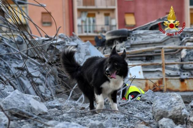 Camogli : consegnati i premi 