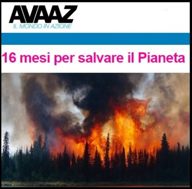 AVAAZ L'Artico è in FIAMME, con incendi così grandi da aver creato una nuvola di fumo più grande dell'Unione Europea!