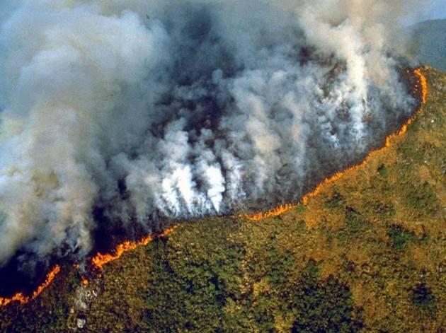 MANIFESTAZIONE A BOLOGNA PER L’EMERGENZA INCENDI NELLA FORESTA AMAZZONICA