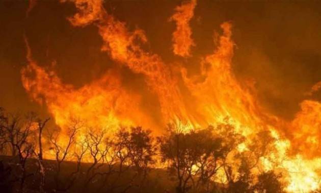 ADUC Incendi foreste africane. Un altro campanello d’allarme su cui la politica ha il dovere di intervenire