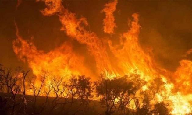 ADUC Incendi foreste africane. Un altro campanello d’allarme su cui la politica ha il dovere di intervenire