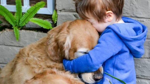 ADUC Vita da cani. Oggi mi guardo la tv con il mio cane: ‘che ti va di vedere?’