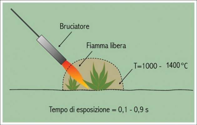 Cremona Sperimentazione di un nuovo metodo per una città sempre più pulita con il pirodiserbo