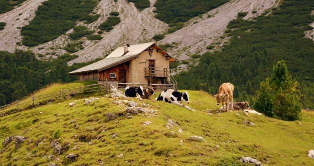 LNews-AGRICOLTURA DI MONTAGNA, ROLFI: OLTRE 3,5 MILIONI PER I SISTEMI MALGHIVI