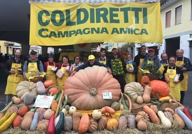 Crema, domenica 29 settembre Festival della Zucca al Mercato di Campagna Amica