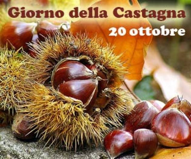 Calyx Domenica 20 ottobre  GIORNATA DELLA CASTAGNA Passeggiata storico-naturalistica per golosi a Chiusani (Pv)