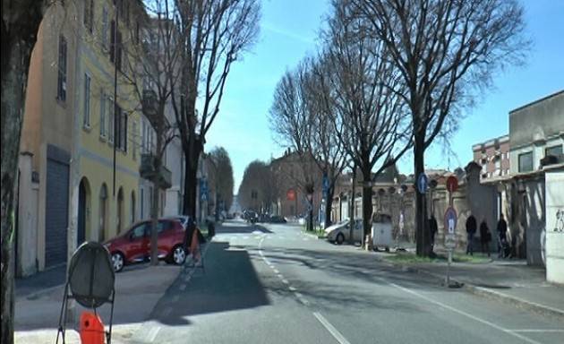 Saranno abbattuti tre alberi in via Brescia: i controlli effettuati dimostrano che sono staticamente pericolosi