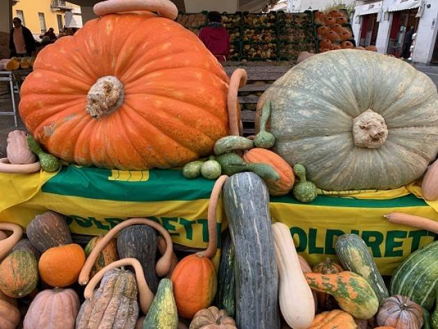 Coldiretti La zucca di Cenerentola domani al Mercato di Campagna Amica a Cremona