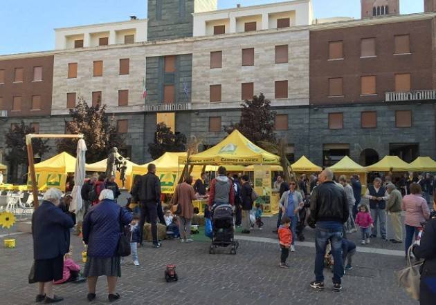 Coldiretti Cremona: domenica  13 ottobre in piazza Stradivari grande festa della zucca al Mercato di Campagna Amica