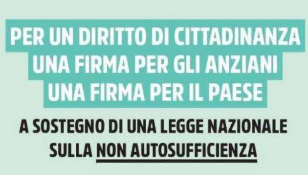 Firma Ecco perché serve una Legge sulla non autosufficienza | Mimmo Palmieri (SPI-Cgil Cremona)