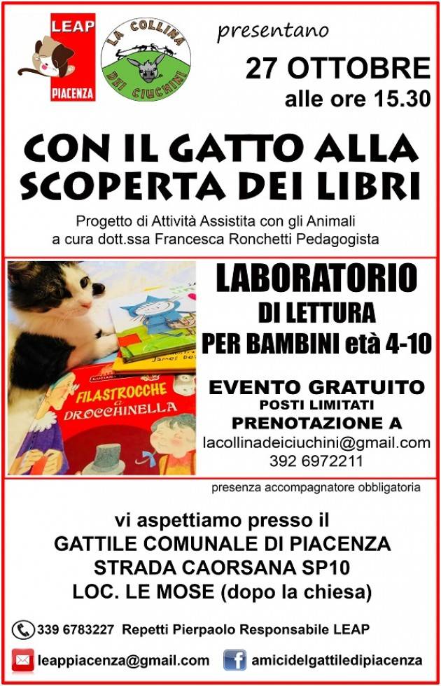 Piacenza ‘Con il gatto alla scoperta dei libri , mici e bambini insieme al gattile comunale