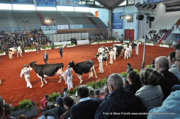 Fiere Zootecniche Internazionali di Cremona Valorizzazione del made in Italy, sostenibilità e innovazione