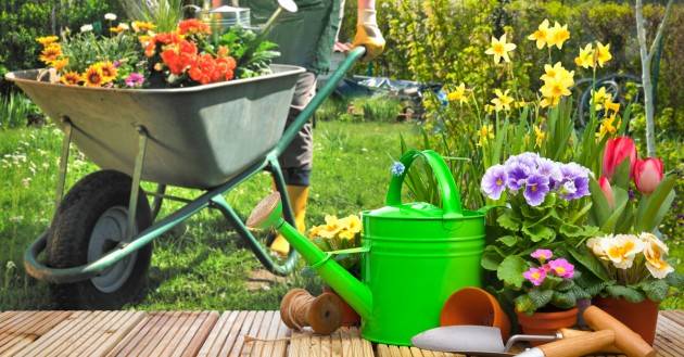 Bonus Verde IL PROVVEDIMENTO ESCLUSO DAL DECRETO FISCALE