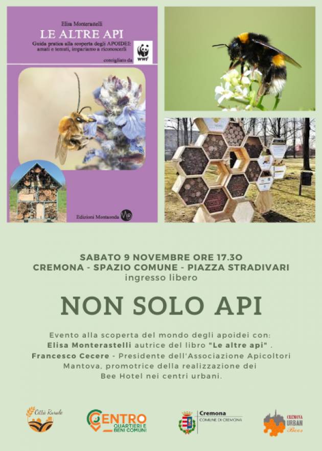 Cremona A Spazio Comnune incontro su ‘Non solo api’ sabato 9 novembre 2019