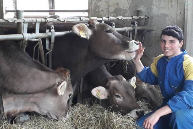 Fiere Zootecniche Cremona  Il sogno dei  giovani nell’allevamento: 3mila euro al mese
