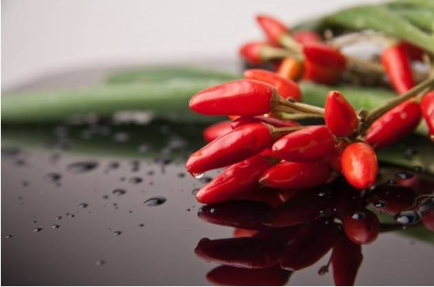 Il Bontà Fiere Cremona IL SEGRETO PER COMBATTERE RAFFREDDORE E CELLULITE? IL PEPERONCINO