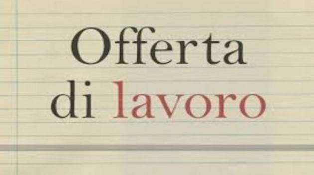 Cremona Aperta selezione pubblica per l’assunzione di un Istruttore Direttivo