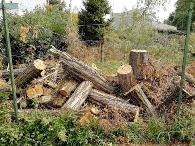 Legambiente Cremona: non va bene il taglio del verde pubblico di Via Sesto 