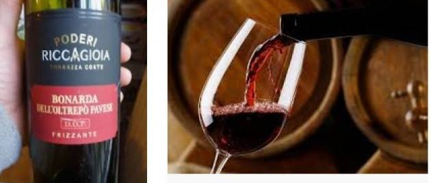 LNews-Focus. MADE IN LOMBARDIA, LA REGIONE FA RINASCERE IL PROPRIO VINO A RICCAGIOIA NELL'OLTREPO' PAVESE