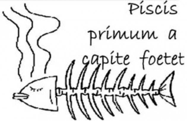 L'ECO FORUM DEI LETTORI - Sardine in salsa piddina? Quando il pesce puzza dalla testa...