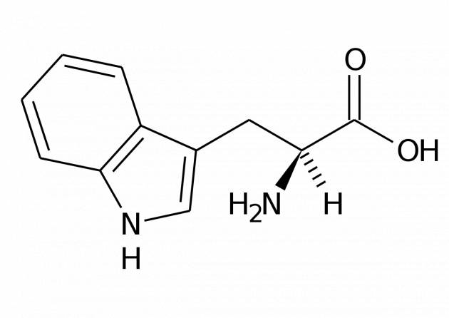 Sindrome da stress post natalizio: un aiuto arriva dalla tavola con gli alimenti ricchi di triptofano