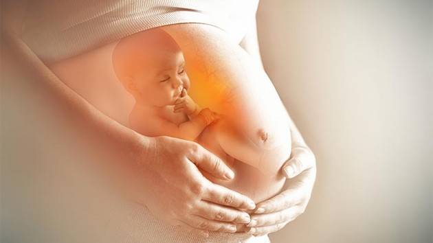 Test di screening prenatale: ecco quali fare in gravidanza