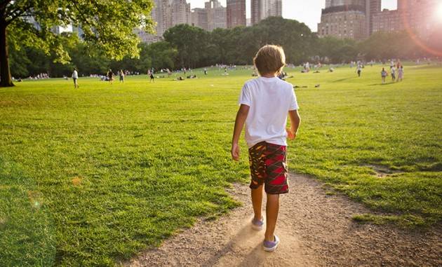  Nel 2020 il Comune di Bergamo investira' 400mila euro per il verde scolastico  