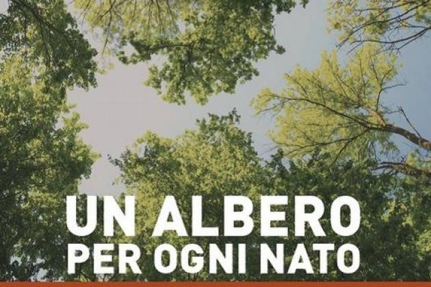 M5S CREMASCO: MOZIONE ‘UN ALBERO PER OGNI NATO’