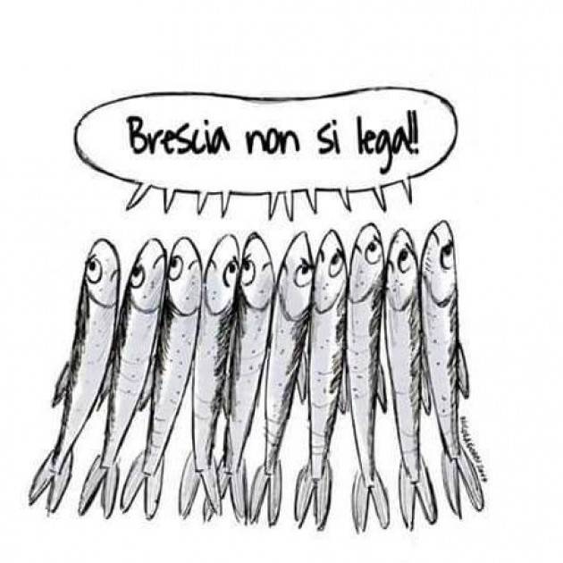 COMUNICATO STAMPA  SARDINE BRESCIA 18 gennaio 2020