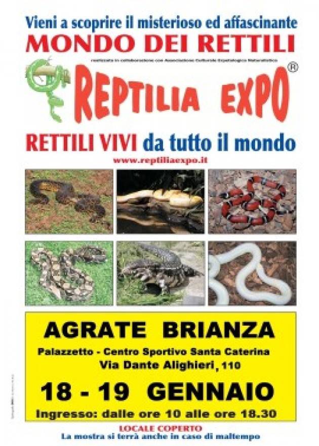 REPTILIA EXPO - L'affascinante mondo dei rettili - AGRATE BRIANZA (MB)