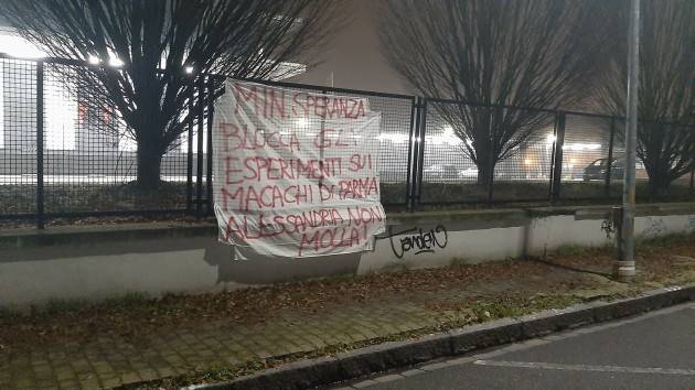 ATTIVISTI DEL COORDINAMENTO MACACHI LIBERI APPENDONO STRISCIONI IN PIÙ DI 30 CITTÀ ITALIANE 