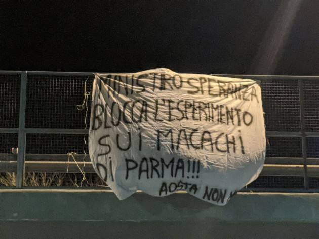 ATTIVISTI DEL COORDINAMENTO MACACHI LIBERI APPENDONO STRISCIONI IN PIÙ DI 30 CITTÀ ITALIANE 