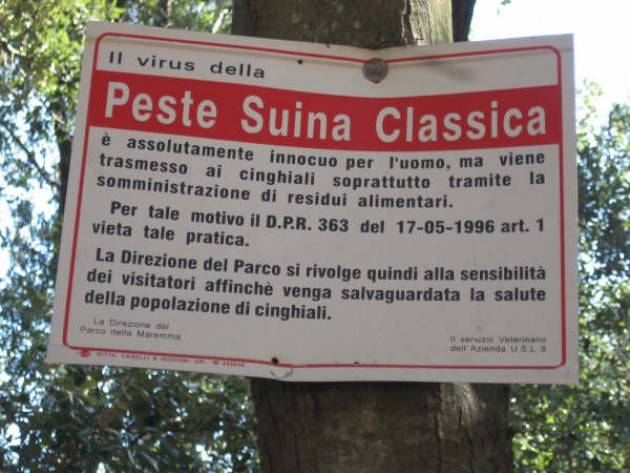 Peste suina, Piloni (Pd): ‘L’assessore dimentica chi ha governato fino a 8 mesi fa’