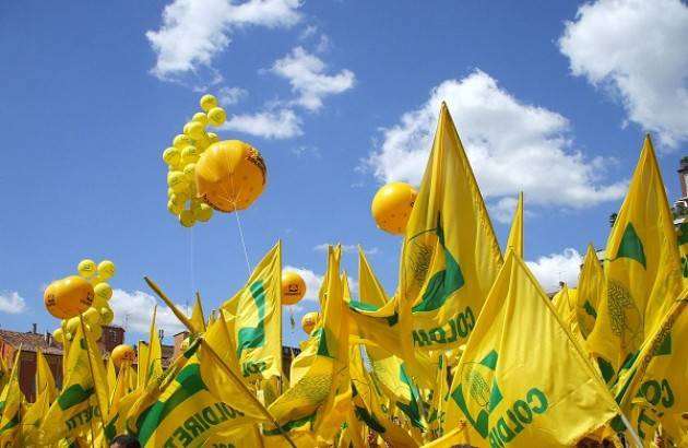 “Il clima cambia, l'agricoltura si difende”: il convegno promosso da Coldiretti per la Fiera di Sant’Apollonia (Rivolta d’Adda)