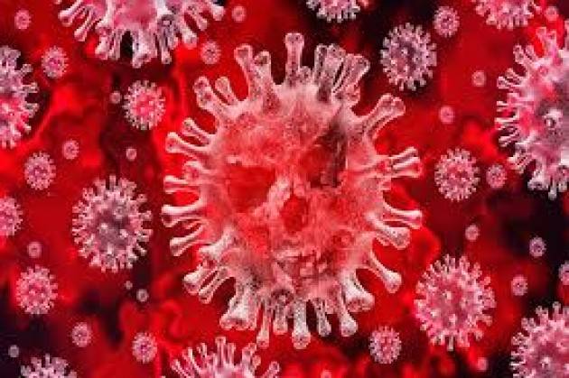 Un video di Nature spiega tutto ciò che serve sapere sul coronavirus cinese