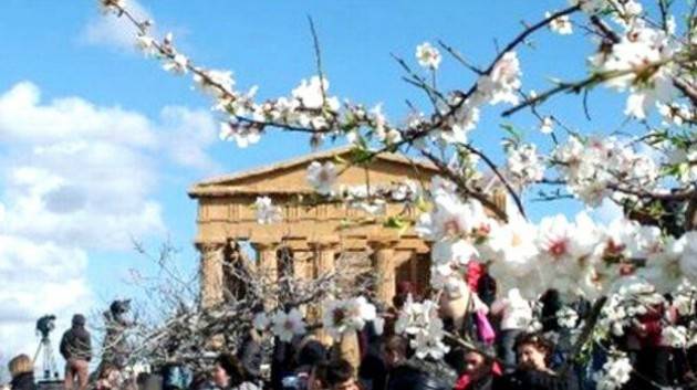 LA PASSEGGIATA DEI MANDORLI IN FIORE