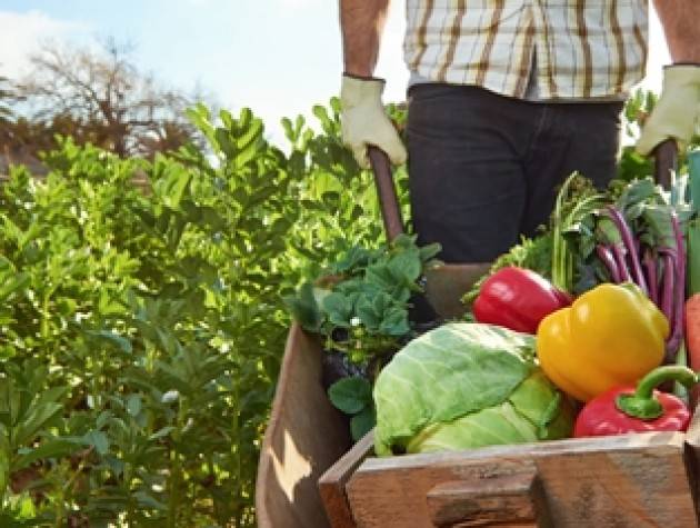 QUALITÀ E SOSTENIBILITÀ: LA RICETTA DEL MADE IN ITALY