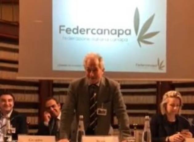 In Italia sta sfumando anche il mercato della canapa industriale