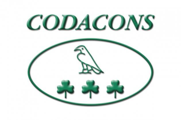 Codacons Cremona su responsabilità del professionista