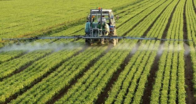 Corte dei conti europea: per i pesticidi l’azione dell’Ue ha portato a progressi limitati