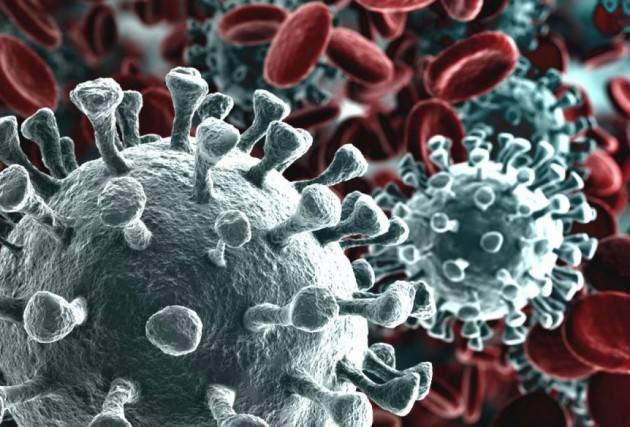 Coronavirus: Oms, non è ancora una pandemia