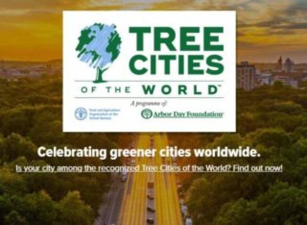 Alberi in città, la Fao plaude ai pionieri delle foreste urbane sostenibili