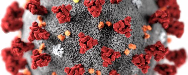 Coronavirus: accertamenti su un italiano a Chieti