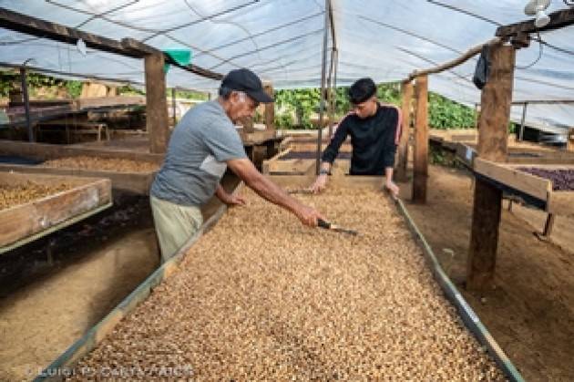 SAN SALVADOR: RISCATTARE IL CAFFÈ SALVADOREGNO PER RESTITUIRE DIGNITÀ AI PICCOLI PRODUTTORI