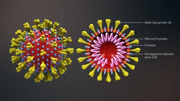 CORONAVIRUS: ALMENO UN ANNO PER UN VACCINO PRONTO